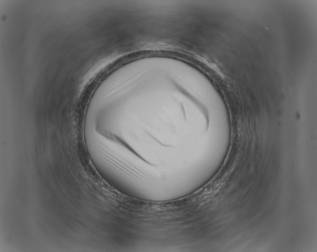 X0000062601311200601181554