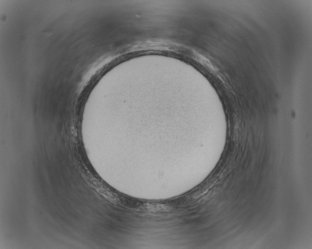 X0000062601312200601181554