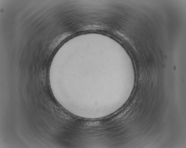 X0000062601313200601181554