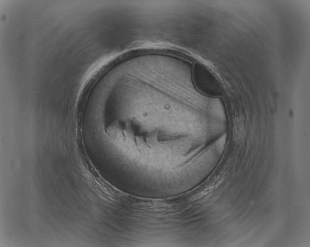 X0000062601319200601181554