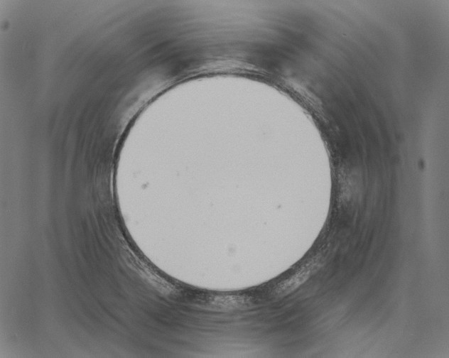 X0000062601322200601181554
