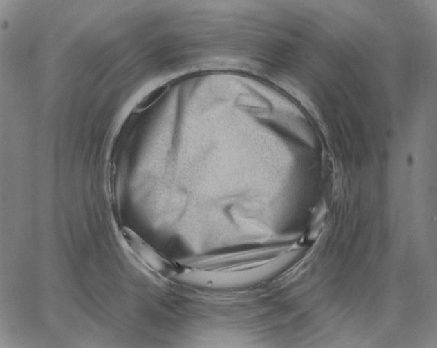 X0000062601342200601181555