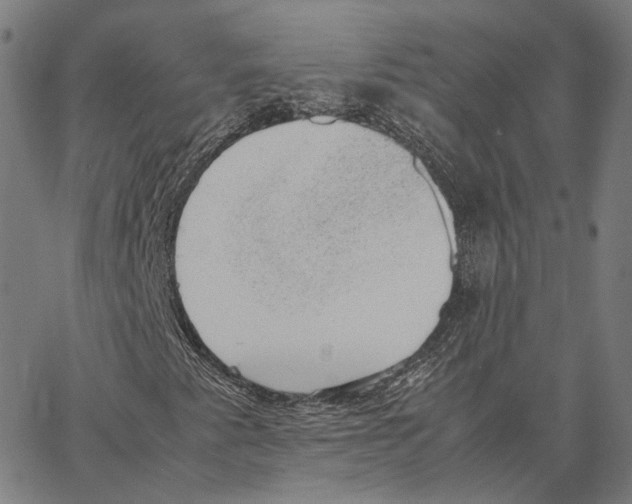 X0000062601345200601181554