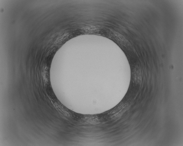 X0000062601346200601181554