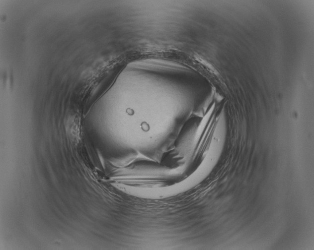 X0000062601348200601181554