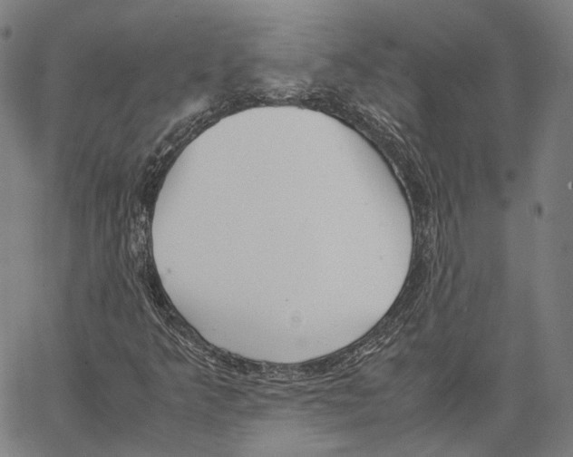 X0000062601349200601181554