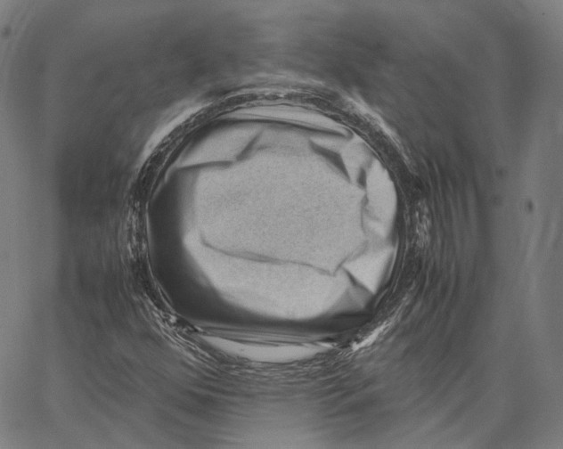 X0000062601352200601181554