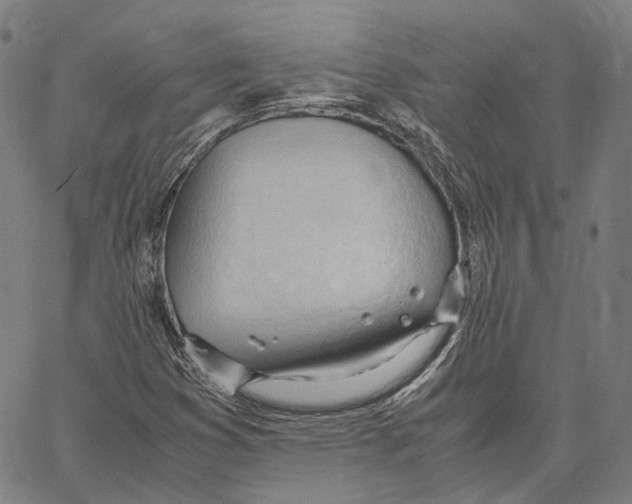X0000062601353200601181554