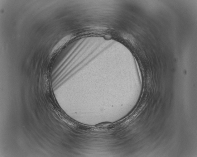 X0000062601354200601181554