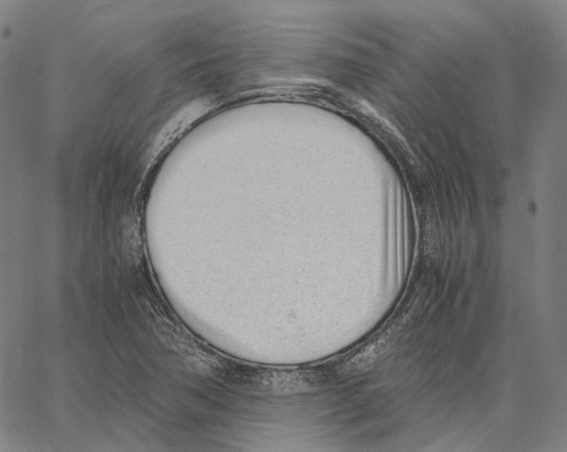 X0000062601362200601181554