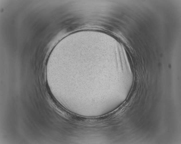 X0000062601371200601181554