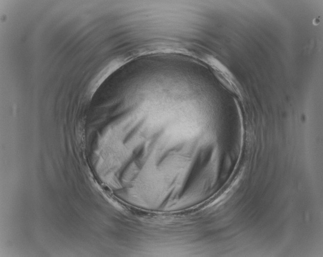 X0000062601385200601181553