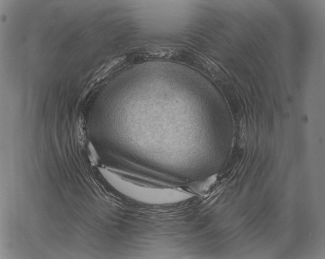 X0000062601394200601181553