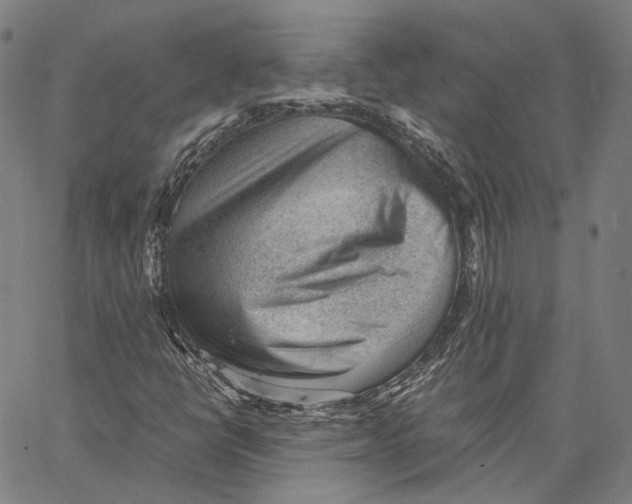 X0000062601398200601181553