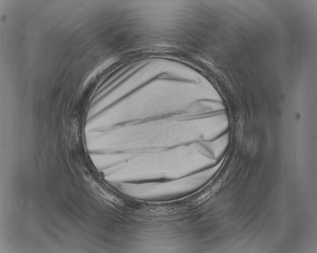 X0000062601402200601181553