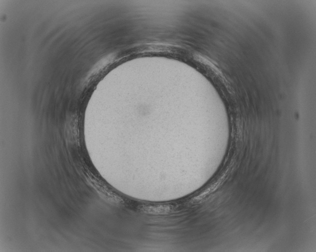 X0000062601403200601181553