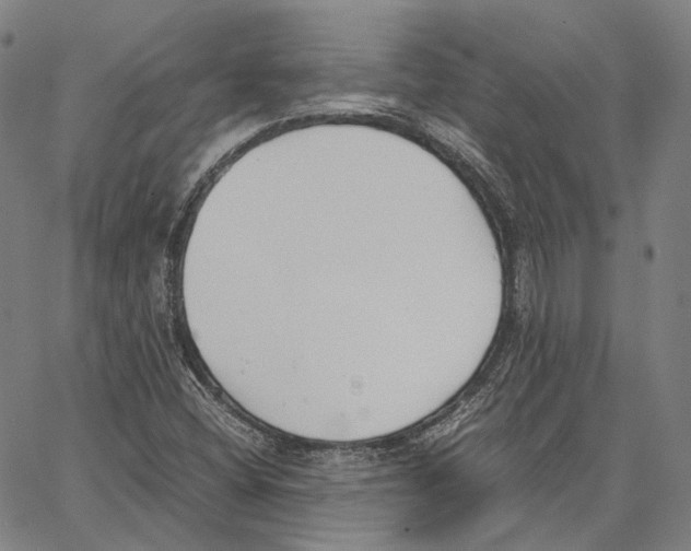X0000062601404200601181553