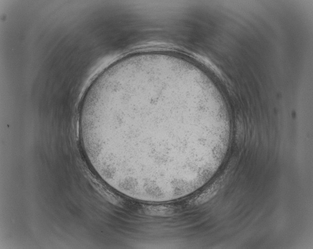 X0000062601413200601181553