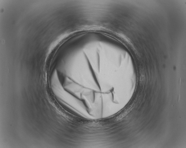 X0000062601414200601181553