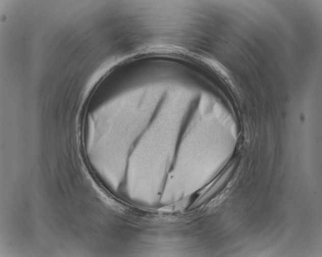 X0000062601430200601181553