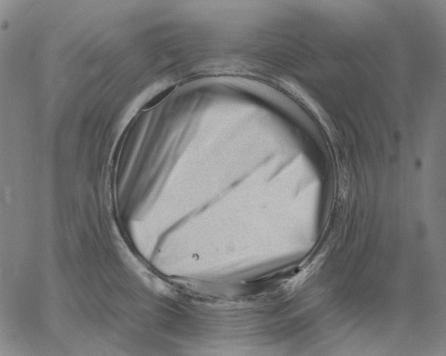X0000062601434200601181553