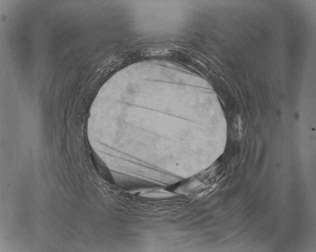 X0000062601441200601181553