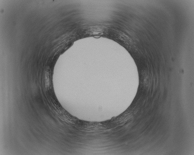 X0000062601442200601181552
