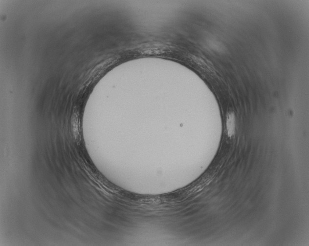 X0000062601444200601181552