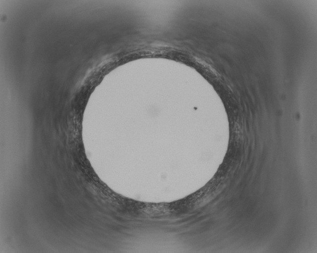 X0000062601447200601181552