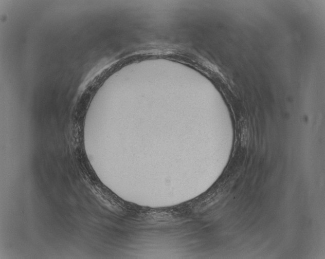 X0000062601448200601181552