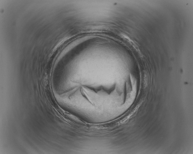 X0000062601449200601181552