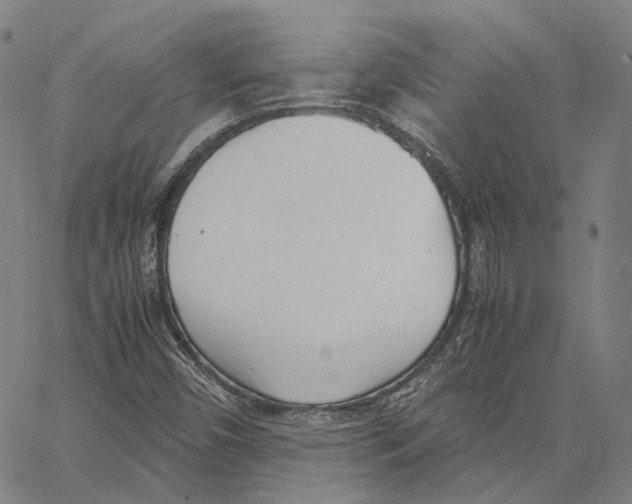 X0000062601450200601181552