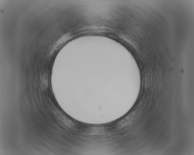 X0000062601451200601181552