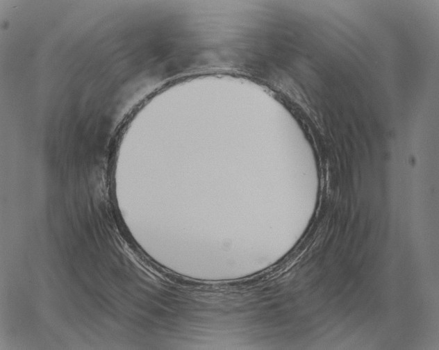 X0000062601452200601181552