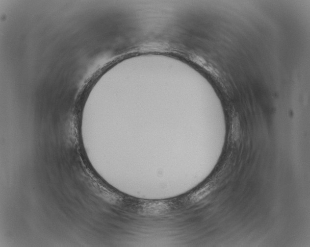 X0000062601454200601181552