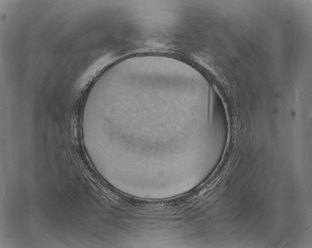 X0000062601455200601181552