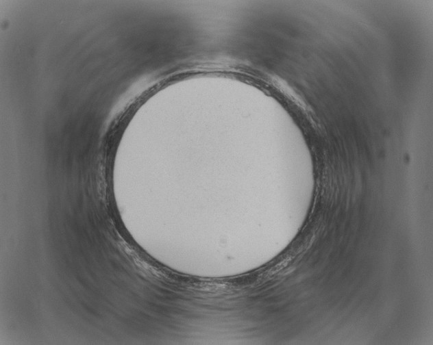 X0000062601456200601181552