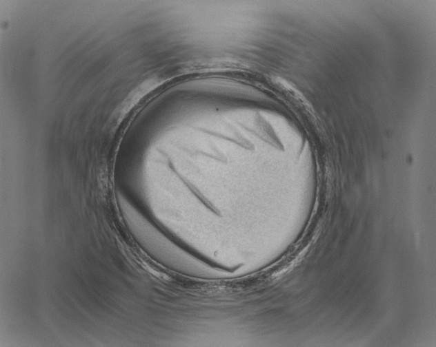 X0000062601457200601181552