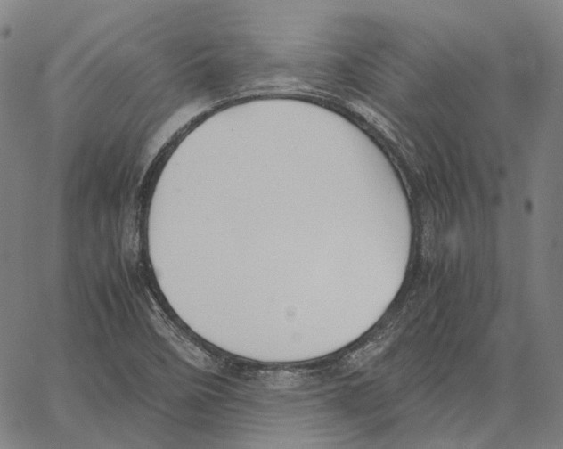 X0000062601458200601181552