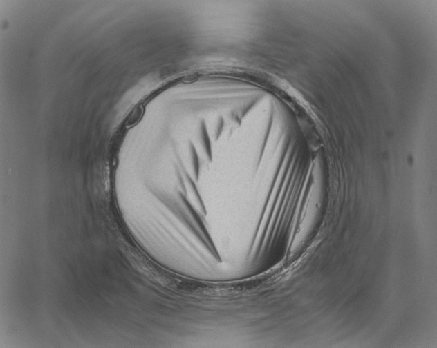 X0000062601461200601181552