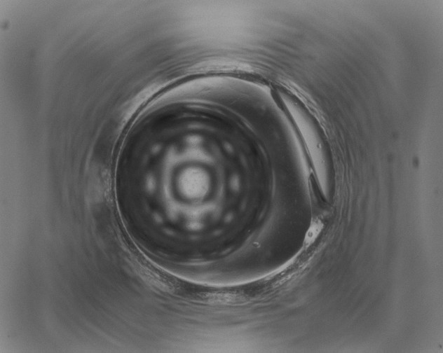 X0000062601465200601181552