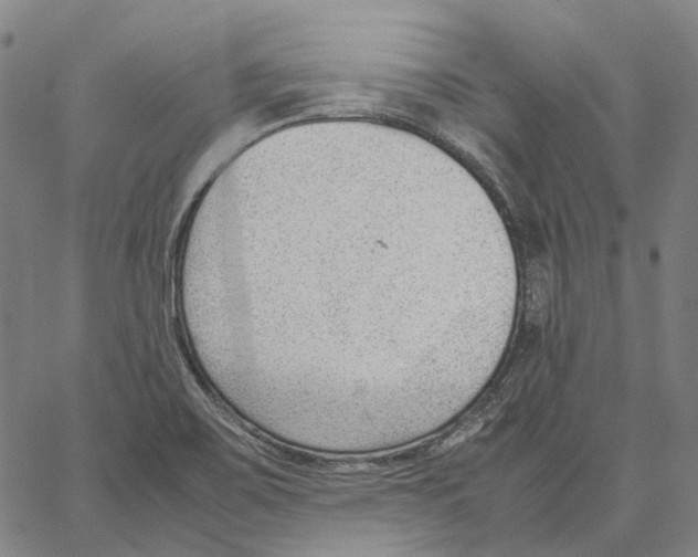 X0000062601467200601181552