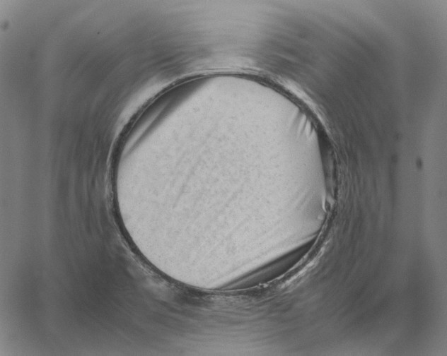 X0000062601469200601181552
