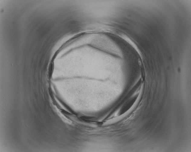 X0000062601485200601181552