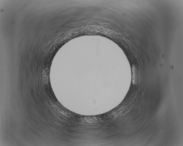 X0000062601491200601181551