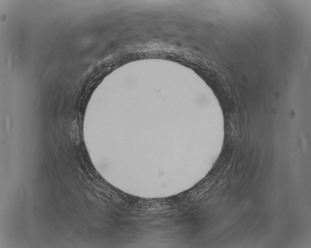 X0000062601493200601181551
