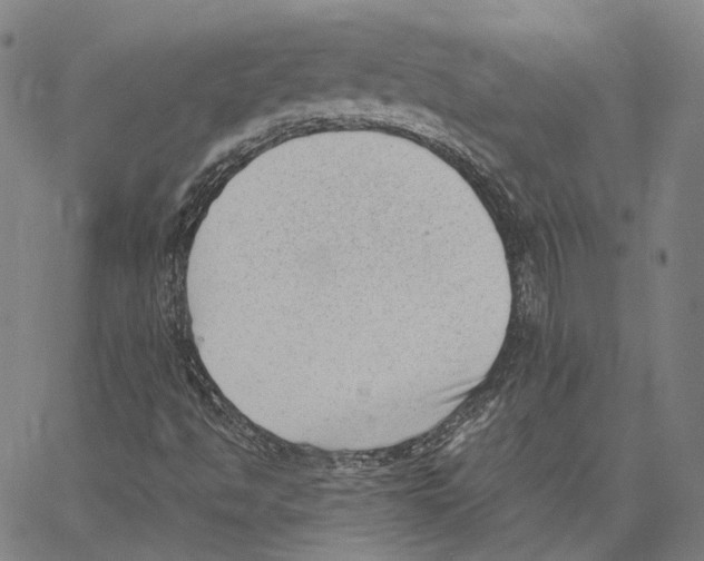 X0000062601494200601181551