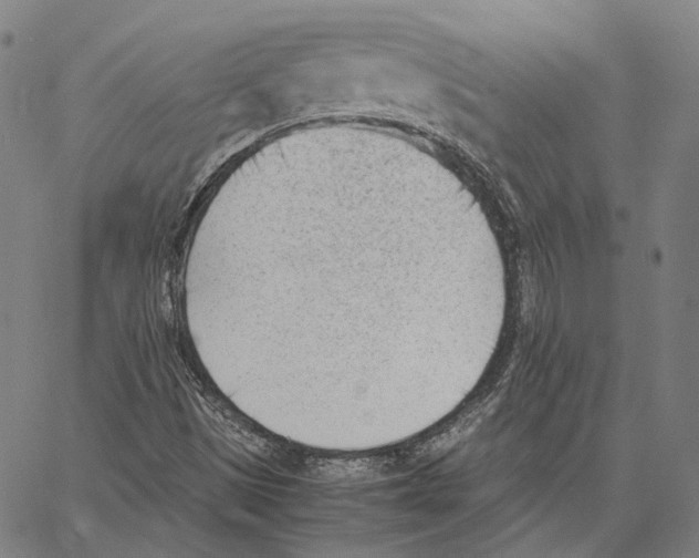 X0000062601497200601181551