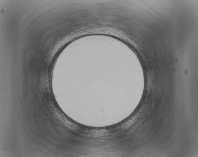 X0000062601498200601181551