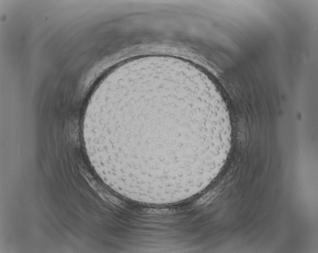 X0000062601499200601181551